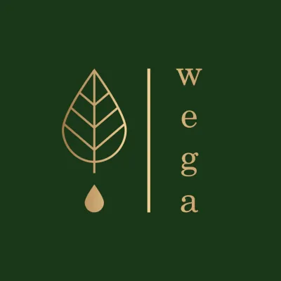 Wega Mirosław Jedynak