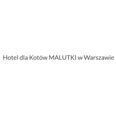 Hotel dla kotów Malutki
