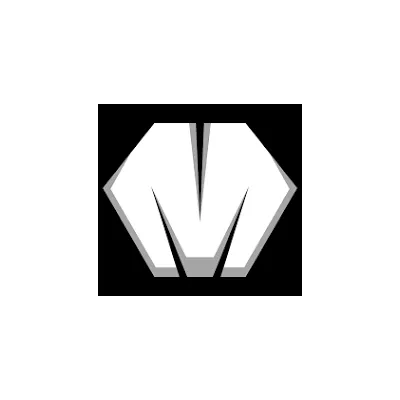 Agencja dla motoryzacji - Masylant