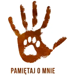 Krematorium dla zwierząt Łódź - kremacja psa kota - Pamiętaj o mnie BOK